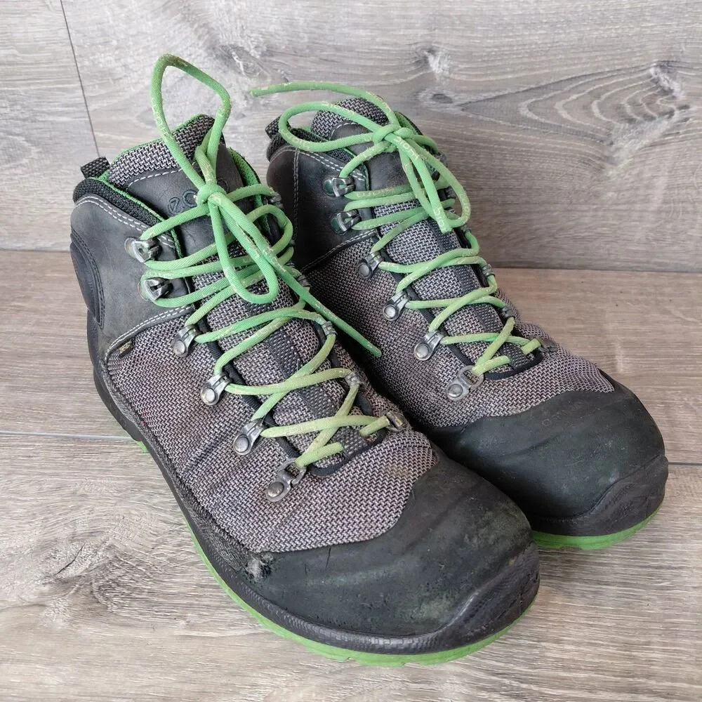 Ecco biom terrain